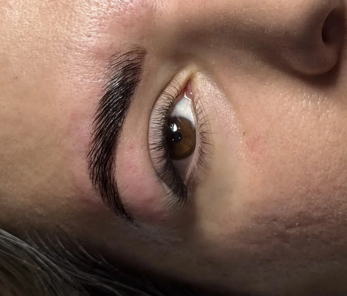 Pestañas — 4584.webp