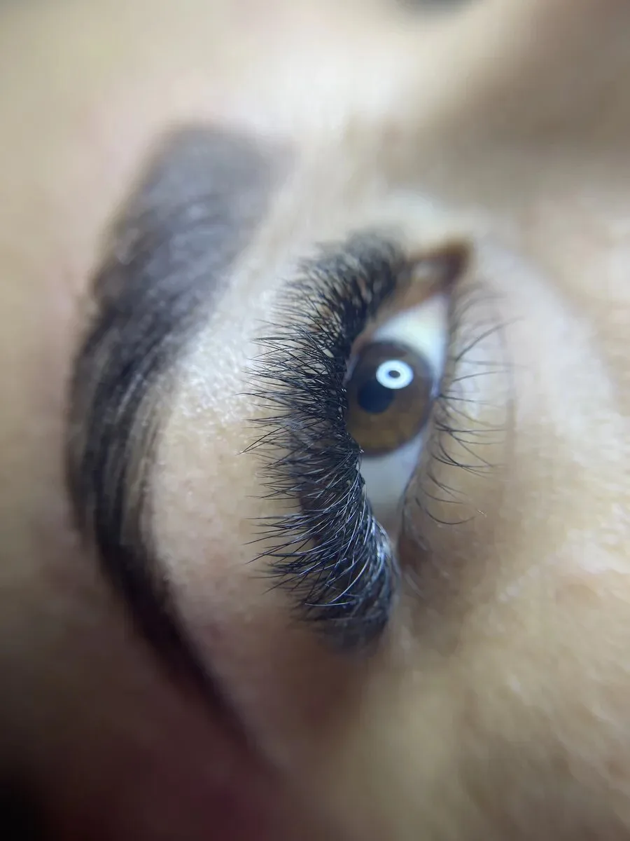 Pestañas — 8979.webp